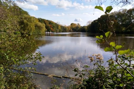 Der Alsdorfer Weiher
